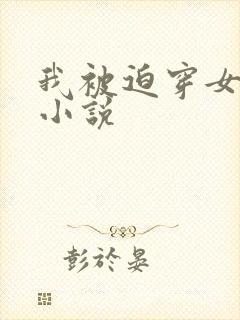 我被迫穿女装的小说