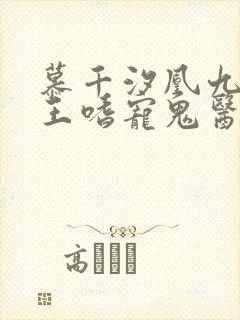 慕千汐凰九夜邪王嗜宠鬼医狂妃免费阅读