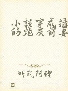 小说穿成摄政王的炮灰前妻