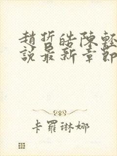 赵哲皓陈轻柔小说最新章节更新