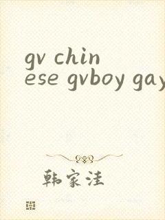 gv chinese gvboy gay tube