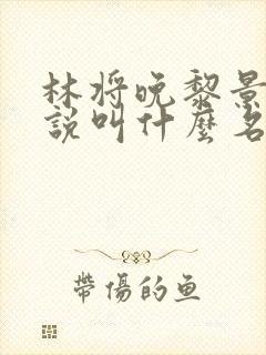 林将晚黎景珩小说叫什么名字