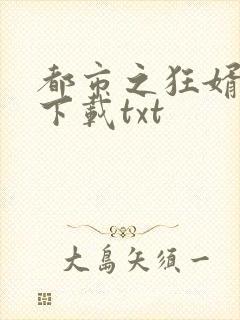 都市之狂婿战神下载txt封面