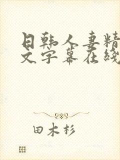 日韩人妻精品中文字幕在线