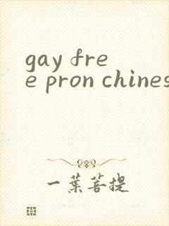 gay free pron chinese