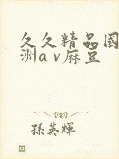 久久精品国产亚洲a v麻豆