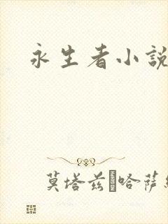 永生者小说封面