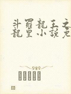 斗罗龙王之光暗龙皇小说免费阅读