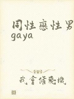 同性恋性男男人gaya