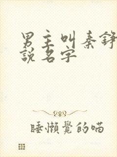 男主叫秦铮的小说名字