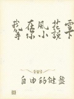 我在风花雪月里等你小说下载txt