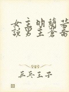 女主明兰若的小说男主苍乔封面