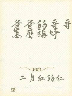 爸爸的哥哥老婆怎么称呼