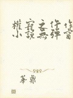 权宠之仵作医妃小说无弹窗