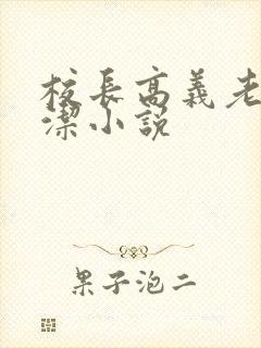 校长高义老师白洁小说封面