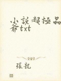 小说超极品万岁爷txt