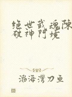 绝世武魂陈枫突破神门境