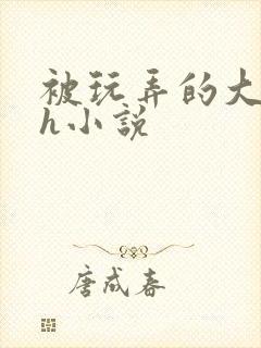 被玩弄的大小姐h小说