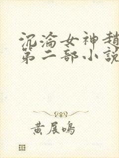 沉沦女神赵星岚第二部小说