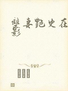 双妻艳史在线电影封面