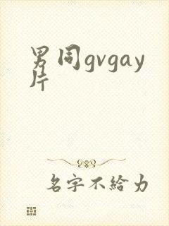 男同gvgay片封面