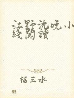 江野沈晚小说在线阅读