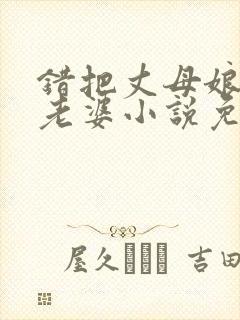 错把丈母娘当成老婆小说免费阅读封面