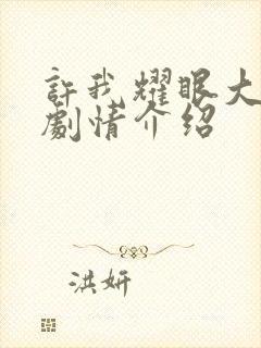 许我耀眼大结局剧情介绍