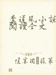 李道风小说在线阅读全文