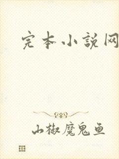 完本小说网封面