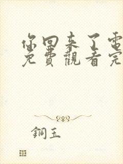 你回来了电视剧免费观看完整版封面