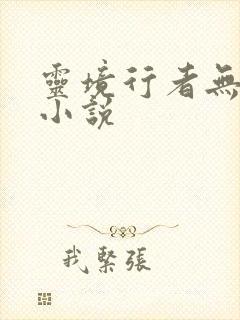 灵境行者无错字小说