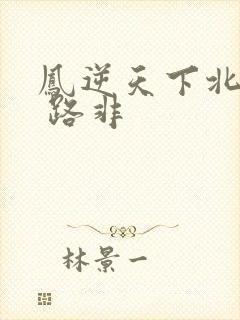 凤逆天下北月篇 路非