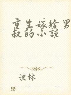 重生嫁给男主他叔的小说封面