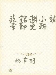 苏铭渊小说最新章节更新