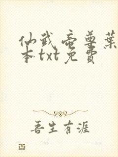 仙武帝尊叶辰全本txt免费