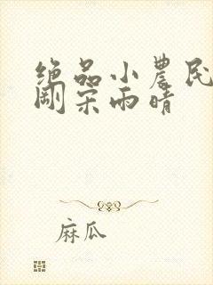 绝品小农民赵小刚宋雨晴