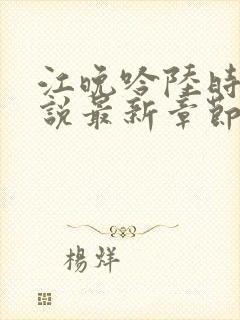 江晚吟陆时今小说最新章节更新时间