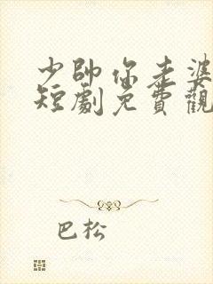 少帅你老婆又跑短剧免费观看在线播放