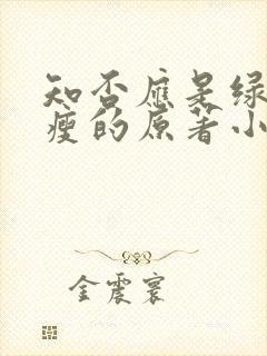 知否应是绿肥红瘦的原著小说