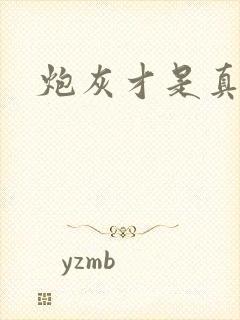 炮灰才是真大佬