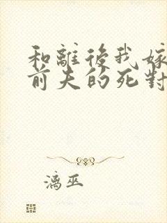 和离后我嫁给了前夫的死对头封面