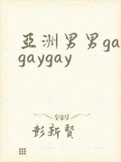 亚洲男男gaygaygay