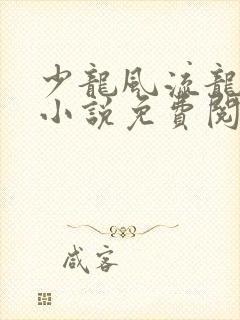 少龙风流龙剑飞小说免费阅读封面