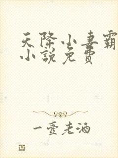 天降小妻霸道宠小说免费