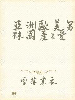 亚洲欧美另类丝袜国产z爱