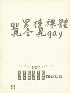 gv男模裸体全见全见gay