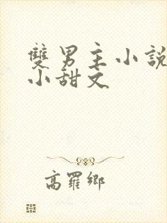 双男主小说推荐小甜文封面