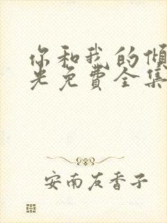 你和我的倾城时光免费全集在线观看封面