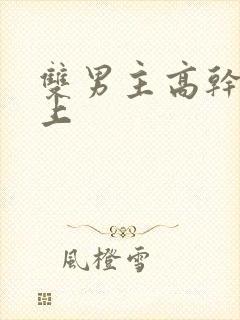 双男主高干文年上